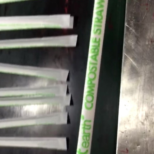 PLA Biodegradable straw